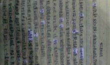 作文精彩的瞬间