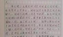 伟人的启示作文