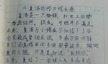 小学生夏洛的网读后感