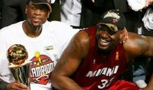 初生牛犊不怕虎作文