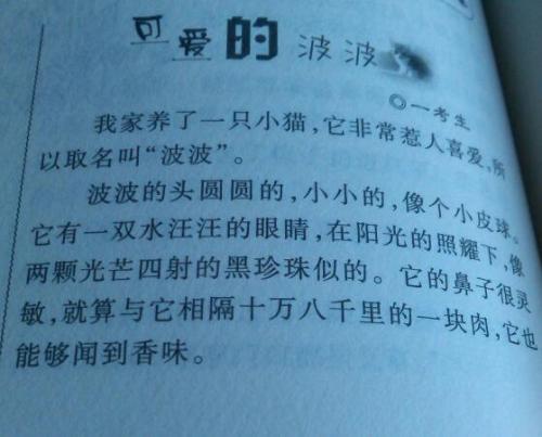 用泰迪狗写400个单词的作文