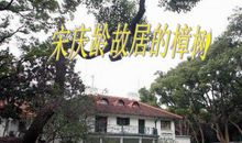 宋庆龄故居的樟树读后感