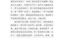 有关野炊的作文