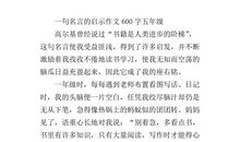 什么的启示作文600字