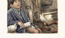 草房子读后感桑桑全部