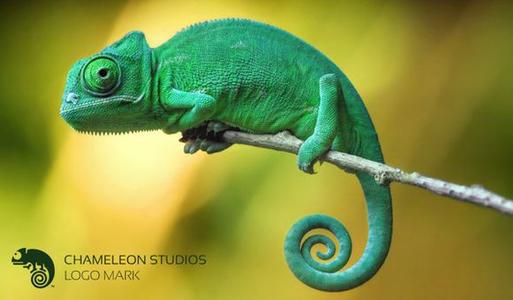 看完变色龙之后