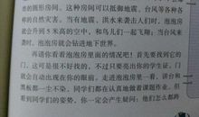 未来的学校四年级作文