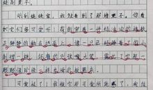 冬天的景色作文600字