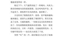 初夏的雨作文400字