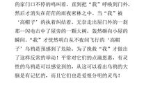 斑羚飞度读后感