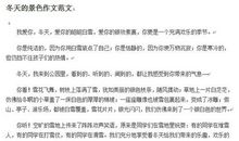 冬天的景色作文350字