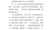 成长故事作文500字