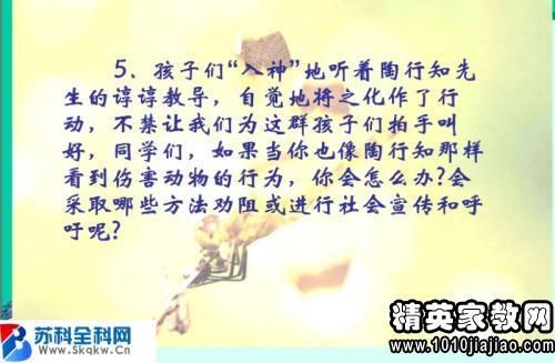 描述蜻蜓的组成