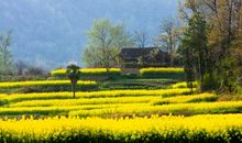 作文最美的风景