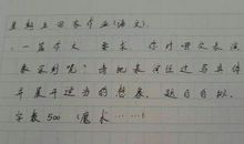 看春晚作文400字