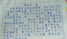 看春节联欢晚会作文