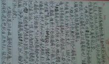 十一趣事作文600字