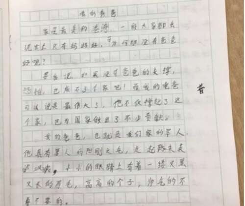 给我爸爸的100个字