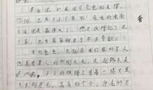 我的爸爸作文100字