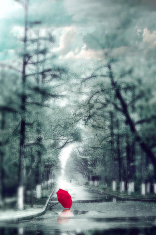 经典语录：人生最大的遗憾是坚持不当