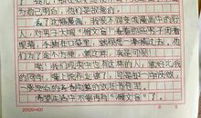 假文盲作文300字