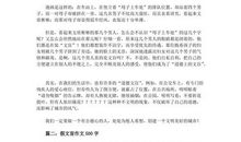 假文盲六年级作文