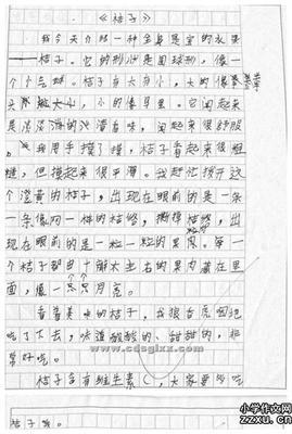 我很高兴三年级作文