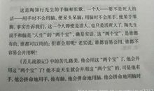 《苦儿流浪记》读后感