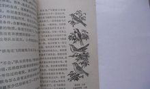 蛇岛的秘密读后感