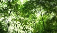 经典语录：大智者必谦和，大善者必宽容