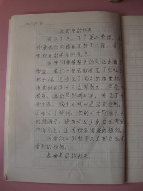 世界杯组成800字