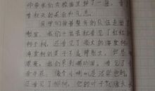 世界杯作文800字