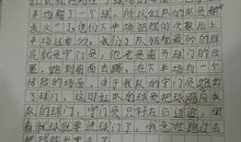 一个什么的日子作文