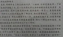 一个我敬佩的人作文