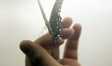 经典语录：如果方向错了，停下来就是前进