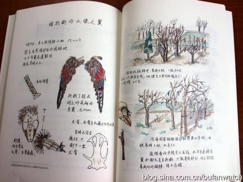 阅读250个单词后的生活