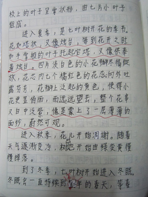 关于景观的构图