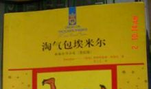 淘气包埃米尔读后感