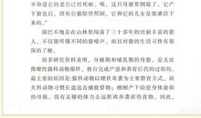 第七天猎狗读后感