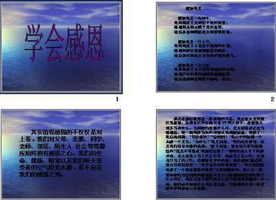 学习写300字的感激之情