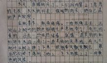 春天作文350字