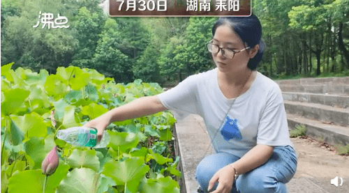 选择拒绝作文500个字