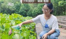 选择拒绝作文500字