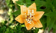 早安心语：微笑有时候说明你很坚强