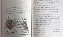 《超越生命的爱》读后感