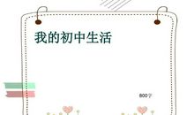 我的初中生活800字
