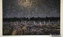 星空下的灵魂读后感