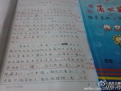 美丽的月亮小学组成