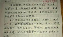 给蚊子的一封信作文