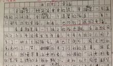 温暖与幸福的作文